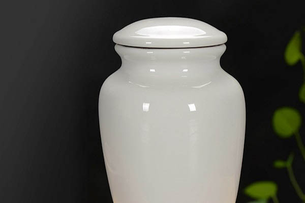 The required human ashes to be made into diamonds.